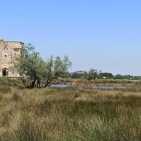 Maisonnette Dans Mas Authentique Avec Piscine بيت للعطل Saint-Laurent-dʼAigouze